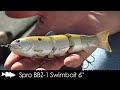How to fish 6