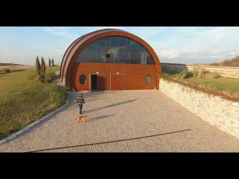Orbelus winery