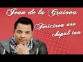 Jean de la Craiova - Hai sa ti dau niste iubire ( Oficial Track )
