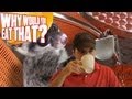 Kopi Luwak aka Cat Poop Coffee
