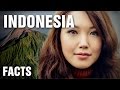 10 Amazing Facts About Indonesia