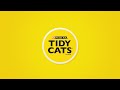 A Cat's Guide To Taking Care Of Your Human
