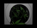 Death Grips - I'm Overflow