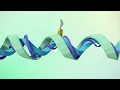 What is color? - Colm Kelleher