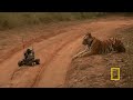 National Geographic Live! - Robot vs. Tiger