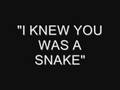 I knew he was a snake