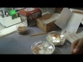 Super Giant Leopard Geckos