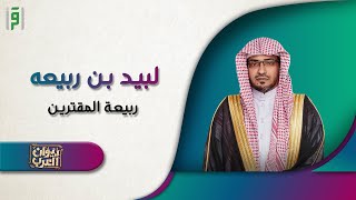 لبيد ابن ربيعه | ديوان العرب | د.صالح المغامسي