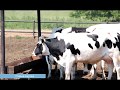День за днем. В районе прошел конкурс профмастерст
