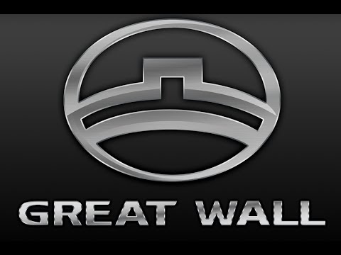 Great Wall Safe(Горит предохранитель ECU 2)