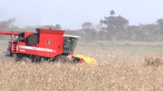 Argentina awaits ruling on crop pesticides view on youtube.com tube online. Argentina awaits ruling on crop pesticides view on youtube.com tube online.