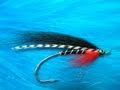 Red Devil Spey