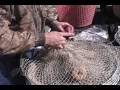 FISHING FOR CRAWFISH IN SOUTH LOUISIANA WITH NETS AND BAIT AND PIROUGE
