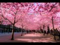 DEEWANE HAIN DEEWANO KO NA GHAR BY MALIK SHERWANI