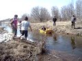 Justine jumping into frigid creek water