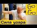Сила удара — популярные заблуждения. Павел Бадыров о сильном нокаутирующем ударе и формуле силы