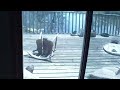 Abandoned House In The Swamp Urban Exploration