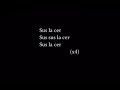 Deepcentral - sus pana la cer lyrics