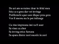 Deepcentral - sus pana la cer lyrics