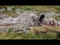 Gee Atherton gets hunted by a Peregrine Falcon