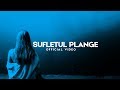 CHRISS - Sufletul Plange (Videoclip Oficial) Obrázok autora