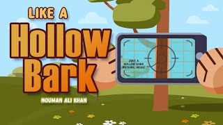 Standing in front of Allah 02: Like a Hollow Bark