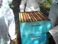 aula de apicultura