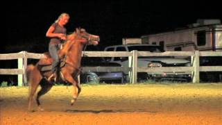 Bethel Road Saddle Club Adult Barrel Ride Like This Melanie 130726 