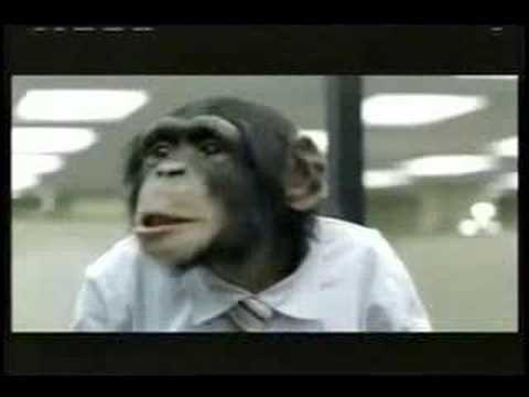 Careerbuilder+monkeys