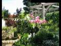 miniature