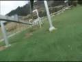 Ecologie : un monorail humain a pedale en Nouvelle Zelande