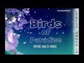Peter Sue & Marc - Birds of Paradise karaoke with lyrics