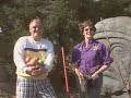 Plant a Cherry Tree
