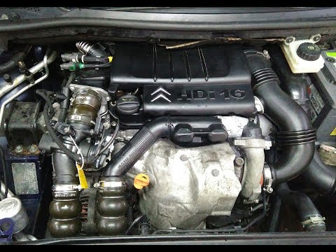How to find engine oil seal in Peugeot 407