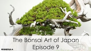 The Bonsai Art of Japan - Episode 9