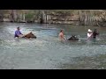 Swimming in the Murray River