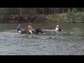 Swimming in the Murray River