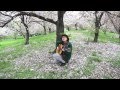芝の青さ