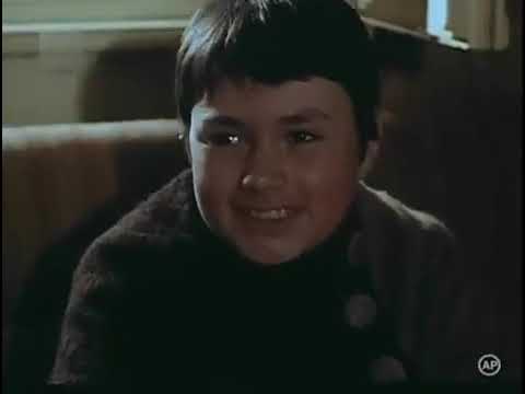 Cireșarii (1984)