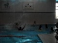 3ºF pulando na piscina [17/11/2009]- CJSP