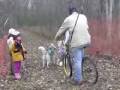 Sled dogs pull owners Sled dogs pull owners