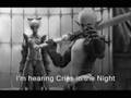 Lineage 2- Cries in the night