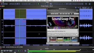 Bias Soundsoap Pro 2
