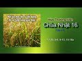 Chúa Nhật 16a mùa Thường Niên 2017, TV85: 5-6, 8-10, 15-16