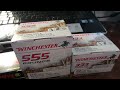WHY ARE PEOPLE STILL PANIC BUYING AMMO?
