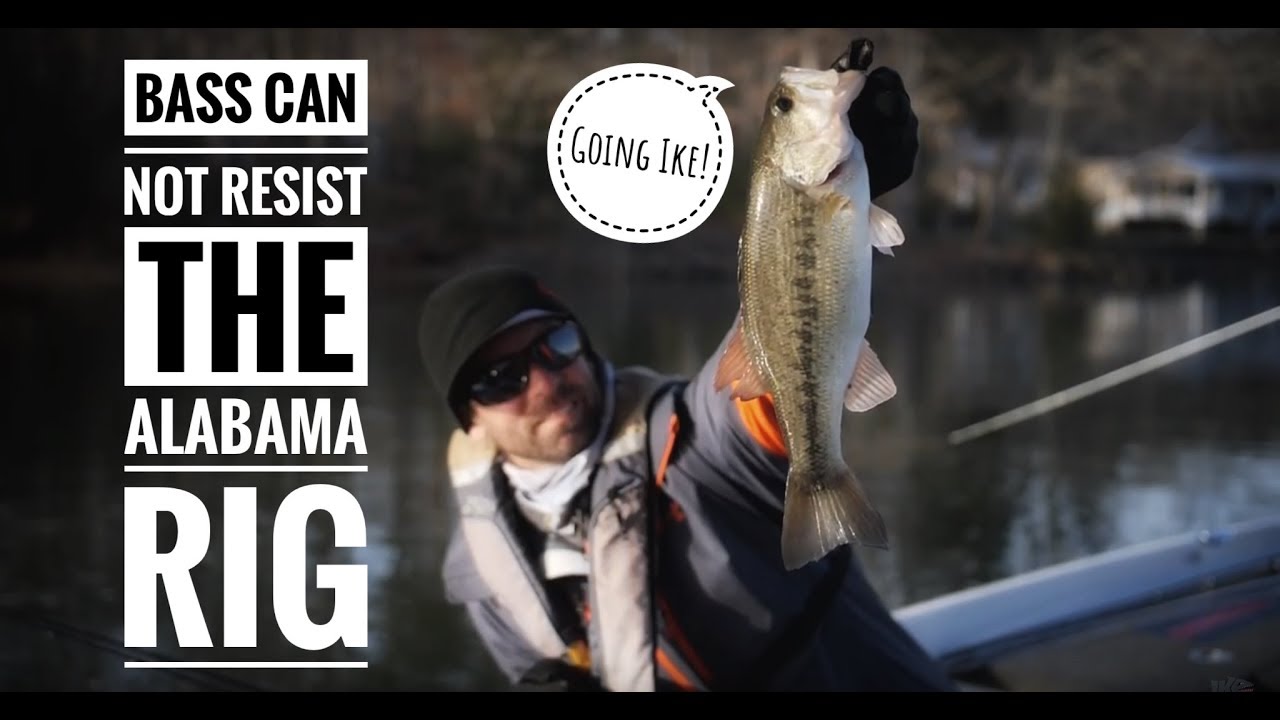When to throw an Alabama Rig for Bass 
