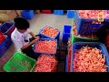 I Didn't Know That - How Dolls Are Made