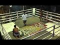 Most Brutal Muay Thai Fight Ever Thailand Round 1-5