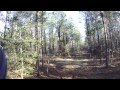 Feb 27 hunt-Raps fox.avi
