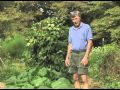 Live Green Tennessee - Season 1-2 Episode 01